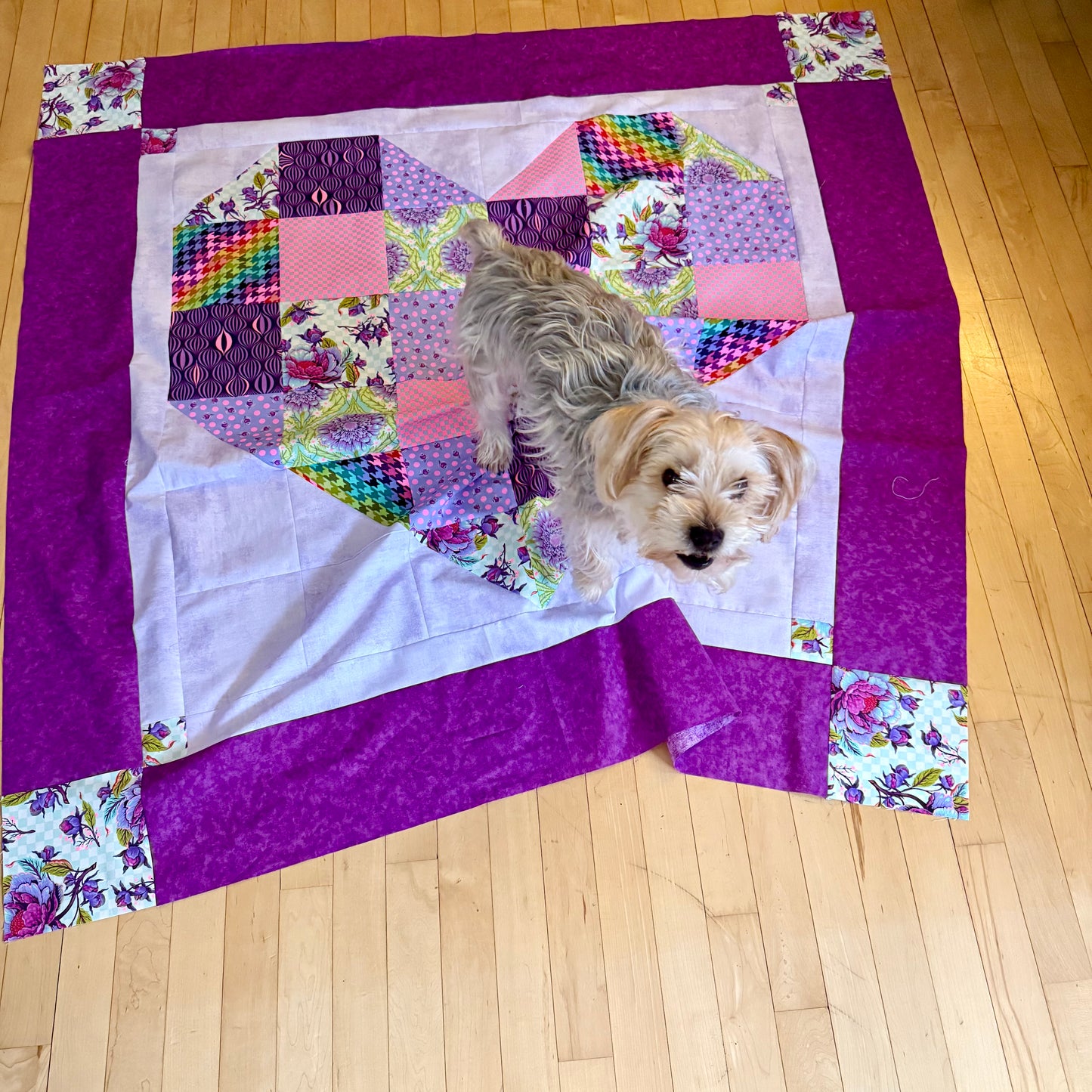 Heartbeat - Tula Pink Quilt Kit